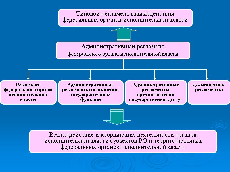 Типовой регламент взаимодействия федеральных органов исполнительной власти Административный регламент федерального органа исполнительной власти Регламент